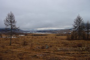 024 IMGP2966_новый размер.JPG