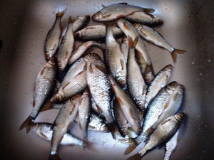 IMG_20130509_113535.jpg