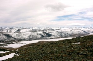 040 DSCF2172 ААА_новый размер.jpg