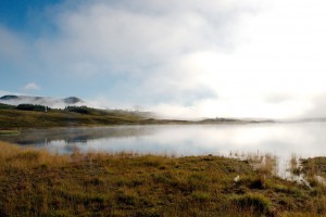 DSC_6335.jpg