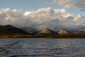 DSC_6503.jpg