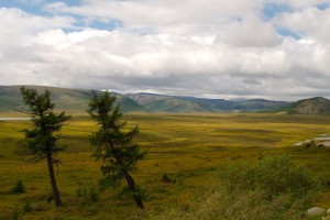 DSC_6542.jpg