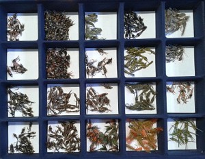 2013-05-23 18.56.23.jpg