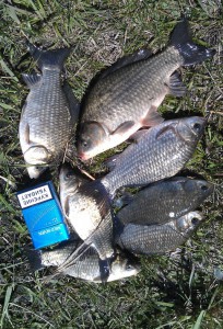 IMAG0413_edit0.jpg