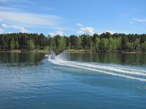 IMG_4833.JPG