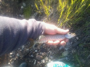 20130627_202014.jpg