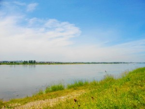 IMGP2939.jpg