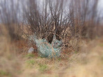 Фотоаппарат 020.jpg
