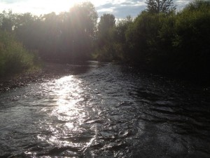IMG_1451.JPG