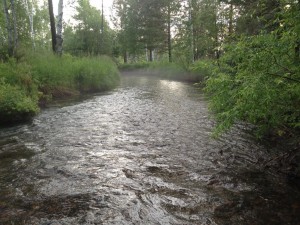 IMG_1457.JPG