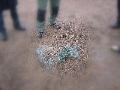 Фотоаппарат 023.jpg
