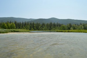 DSC_0323.JPG