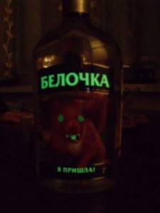 11154156e.jpg