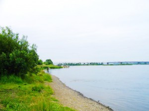 IMGP2960.jpg