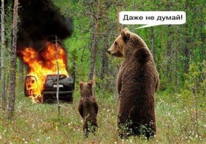 мишка.jpg
