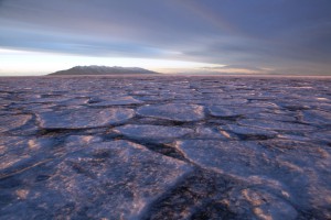 IMG_6687.jpg