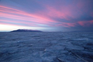 IMG_6698.jpg