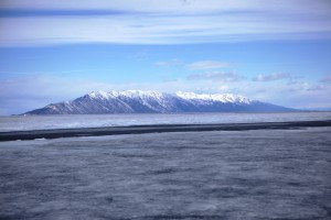IMG_6718.jpg