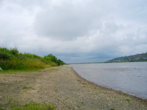 IMGP2967.jpg
