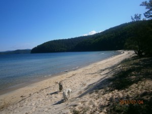 foto8.JPG