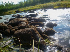 P1020188 (2).jpg