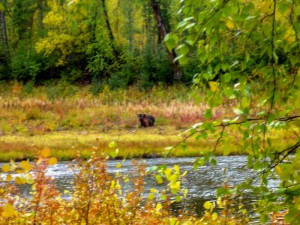 P1020221 (2).jpg