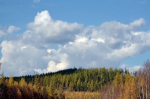 CSC_0288 (2).jpg