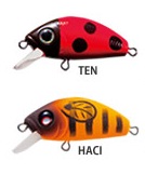 lminnow.jpg