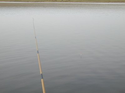 DSCN0011.jpg