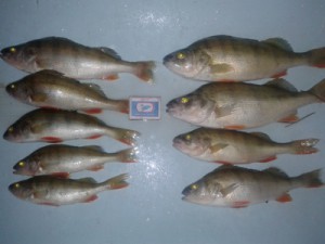 20130825_200404.jpg