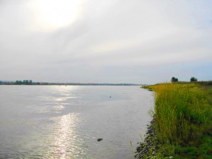 IMGP3015.jpg