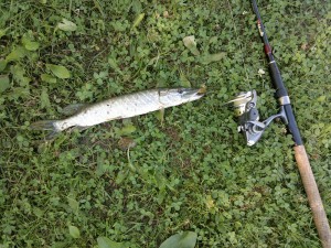 2013-08-30-330.jpg