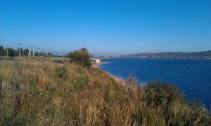 IMAG0833.jpg