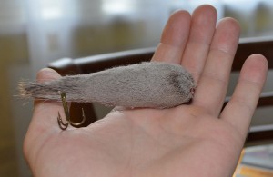 DSC_0060.jpg