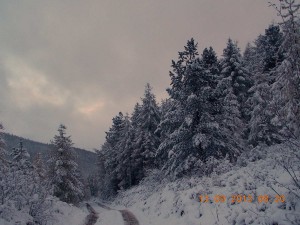 Осенние краски 14.jpg
