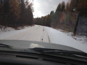 IMG_0012.jpg