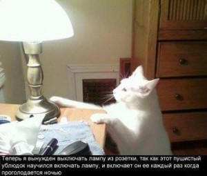 image.jpg