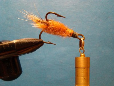 DSC01531.JPG