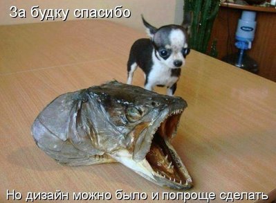 Собака.jpg