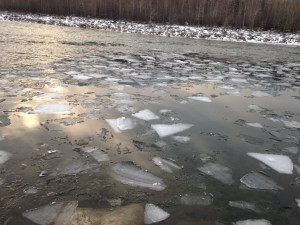 IMG_0258.jpg
