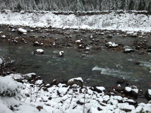 getImage (8).jpg