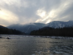 getImage (1).jpg