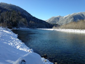 getImage (13).jpg