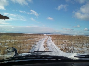 IMG_20131116_140655.jpg
