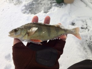 IMG_20131117_102025.jpg