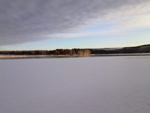 IMG_20131117_102240.jpg