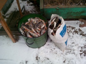 IMG_20131117_133358.jpg