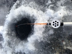 IMG_0136.jpg