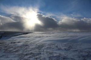 IMG_24331.JPG