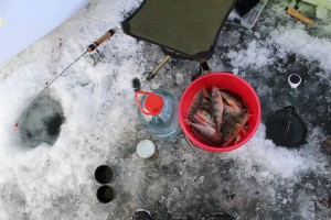 IMG_24341.JPG